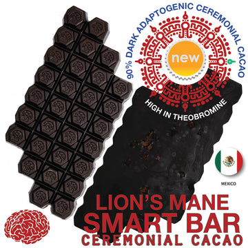 90% Dark Keto SMART BAR with Lion's Mane