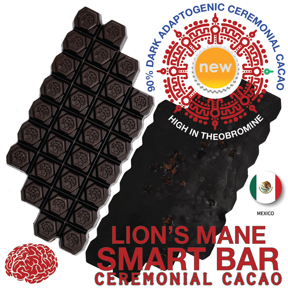 90% Dark Keto SMART BAR with Lion's Mane
